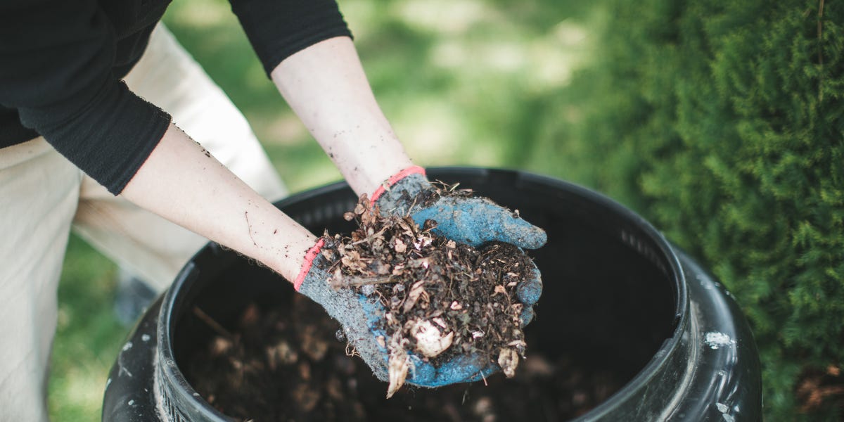 Composting Made Easy: A Beginner's Guide to Happy Plants and Zero Waste